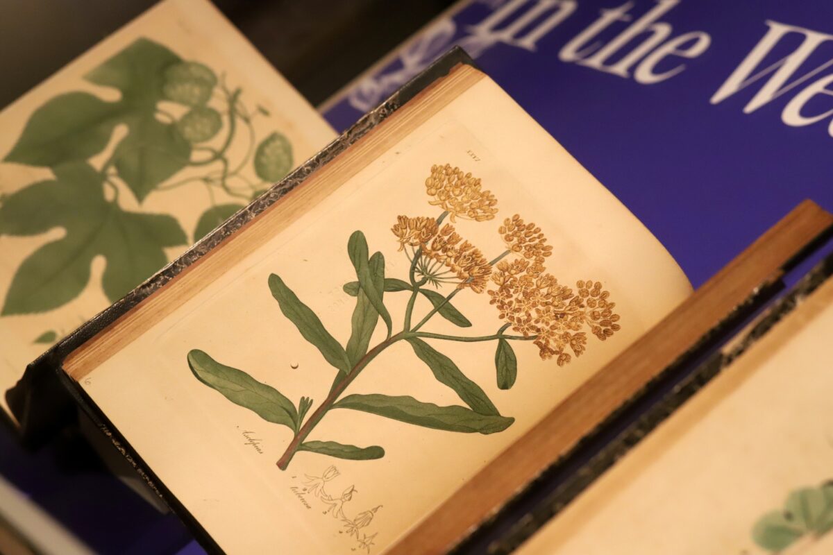 Ausstellung „Neuerwerbungen 2025“ – Event_Image4 [EVENT]