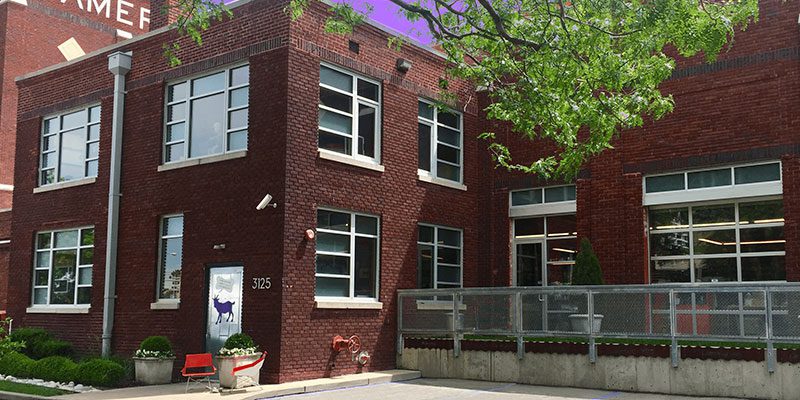 Indigo Wild – Image_3