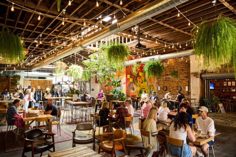 Casual Animal Brewing Co – Pilsen Photo Co-op (40)