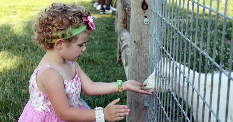 Deanna Rose Farmstead Deanna Rose Farmstead