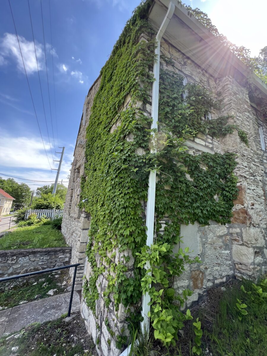 Rosedale & Volker Urban Hike – Event_Image4 [EVENT]