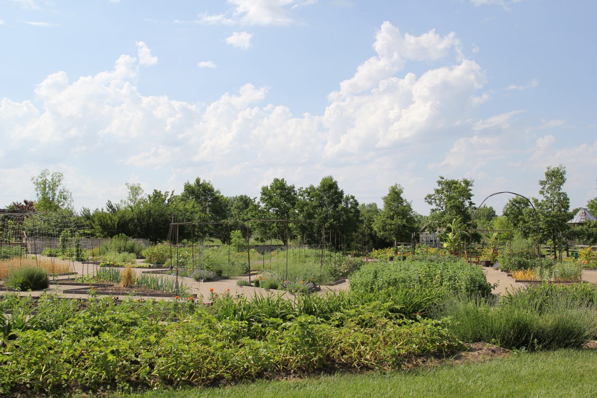 Powell Gardens – Image_1