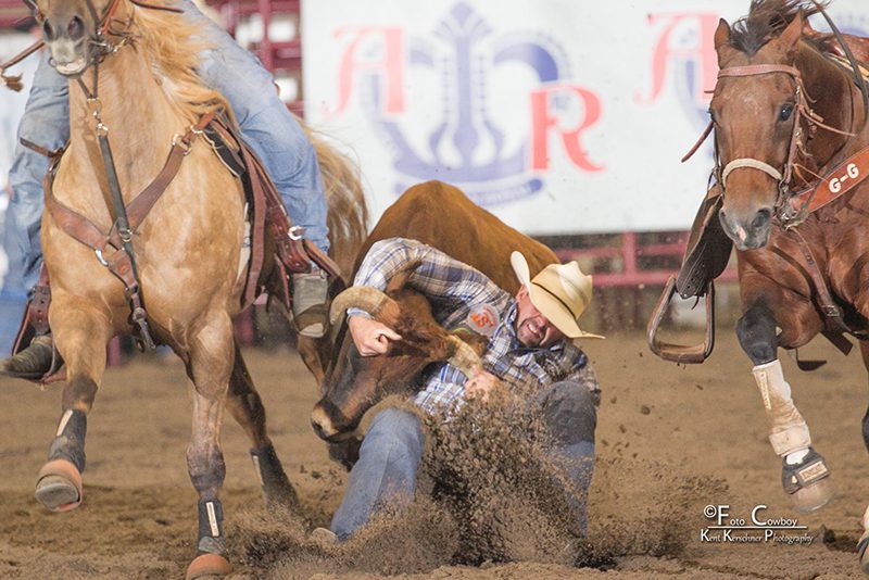 American Royal Association – Image_4