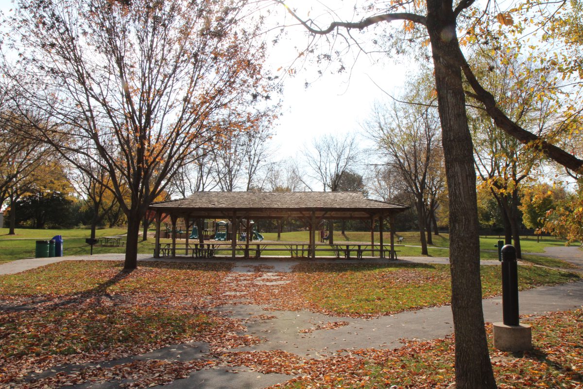 Ad Astra Park – Image_4