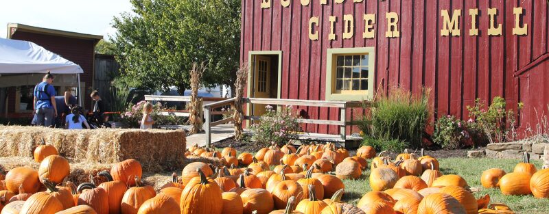 Kansas City's Best Pumpkin Patches
