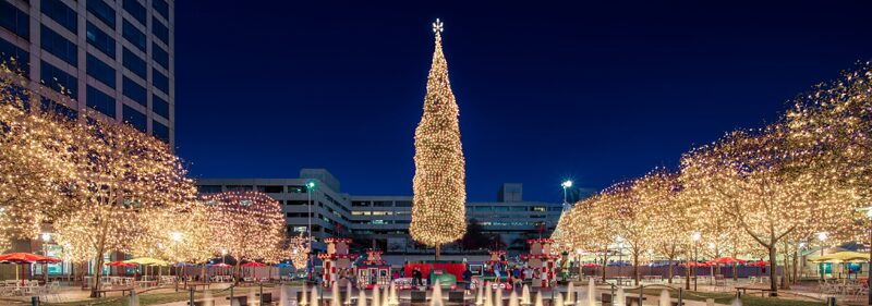 Mayor's Christmas Tree