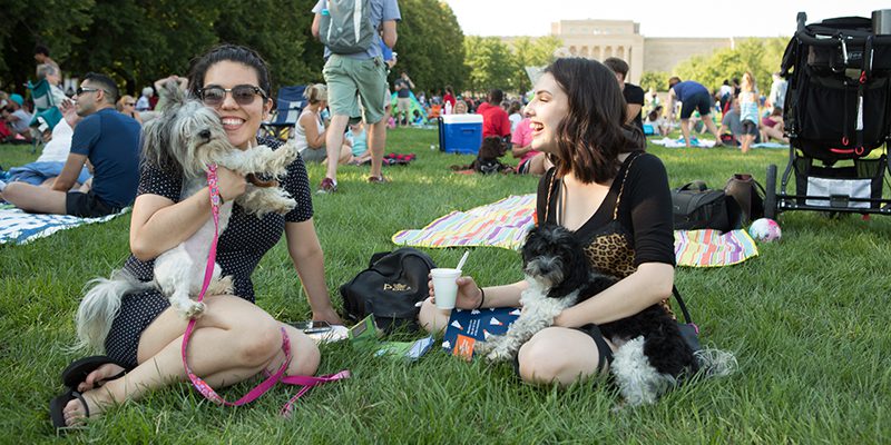 The Nelson-Atkins Museum of Art | Big Picnic
