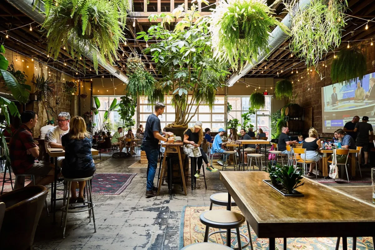 Book trip background